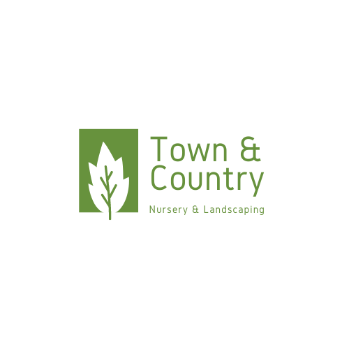 Town & Country Nursery